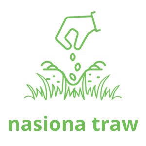 nasiona traw